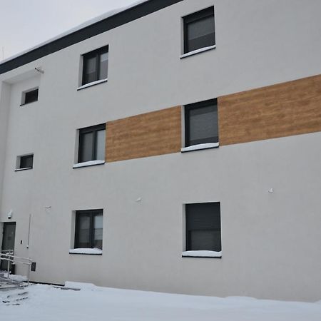Villa Halinton Wodzisław Śląski Exterior foto